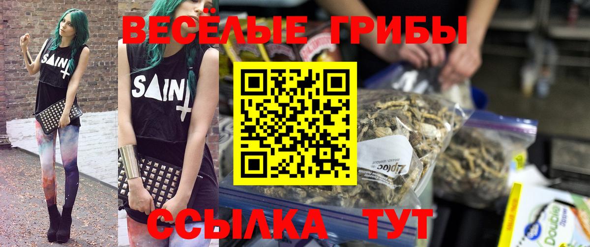 купить  сайты  Псилоцибиновые грибы мицелий  Вход с VPN  Псилоцибиновые грибы мухоморы  Вязьма 