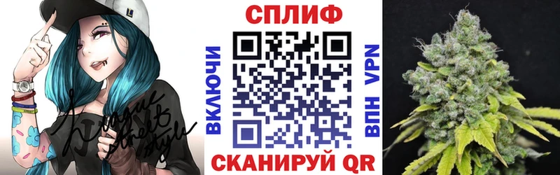 Марихуана план  где можно купить наркотик  Вязьма 